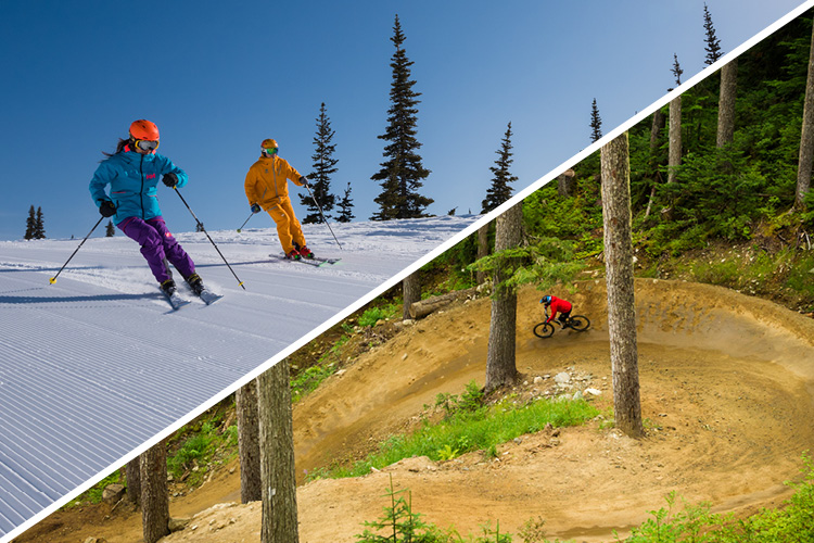 Skiing and biking in Whistler