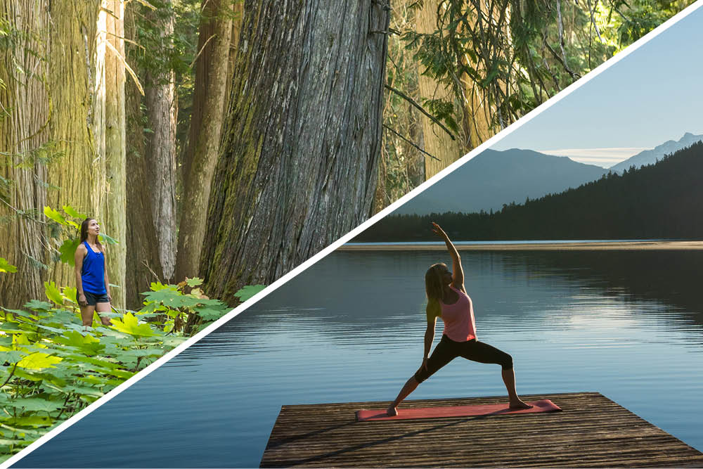 Yoga on a dock and walking in the woods.
