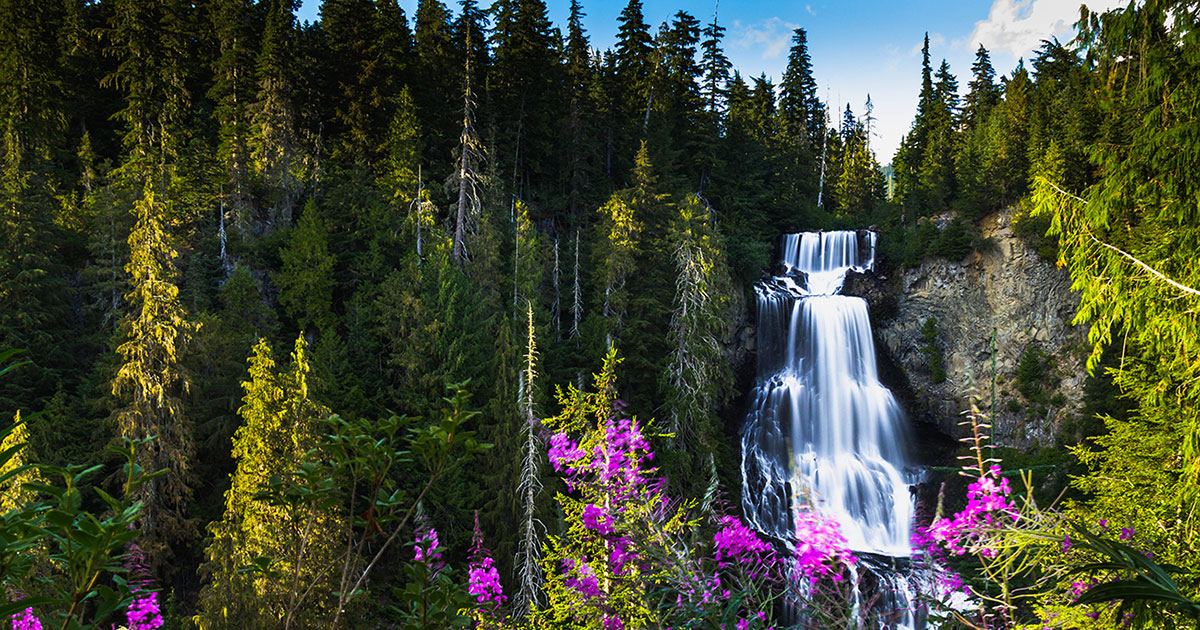 Scenic Spots: Whistler Waterfalls, Lakes, Rivers & Rocks