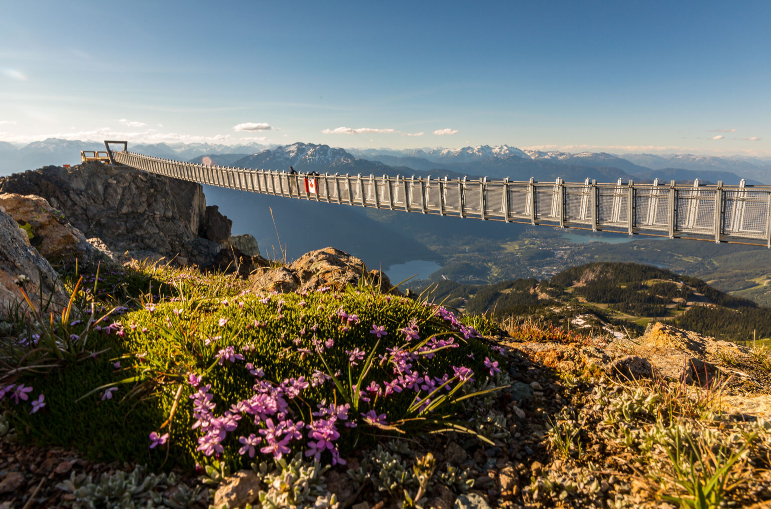 A Guide to The Whistler Suspension Bridge
