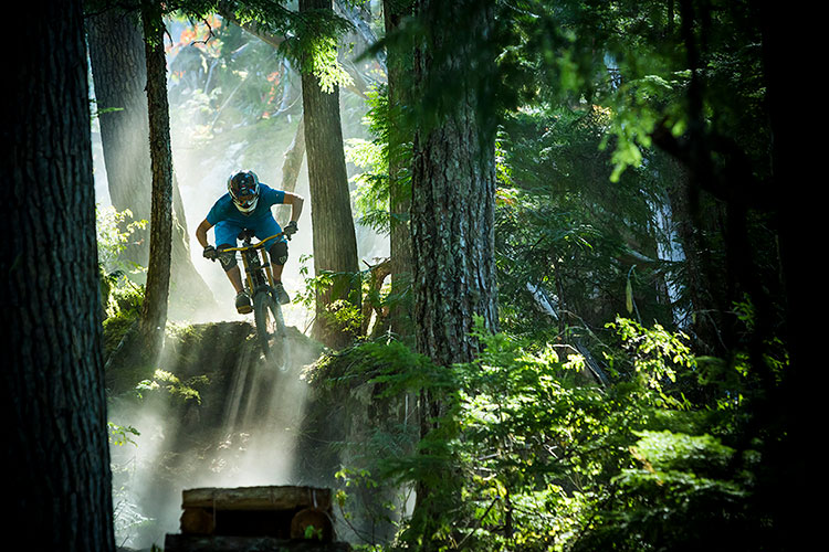 A mountain biker rides through the trees in Whistler Bike Park.