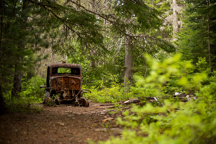 An old , rusted vehicle sits in the forest at the Parkhurst site.