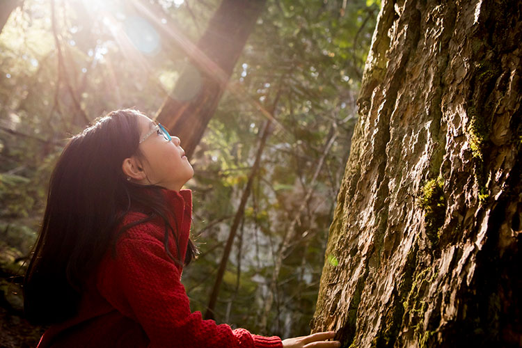 A young child looks up towards the canopy amongst the old-growth forest in Whistler.