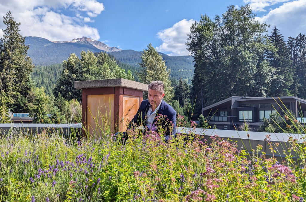 Fresh herbs for cocktails come from the roof top garden at Nita Lake Lodge in Whistler.