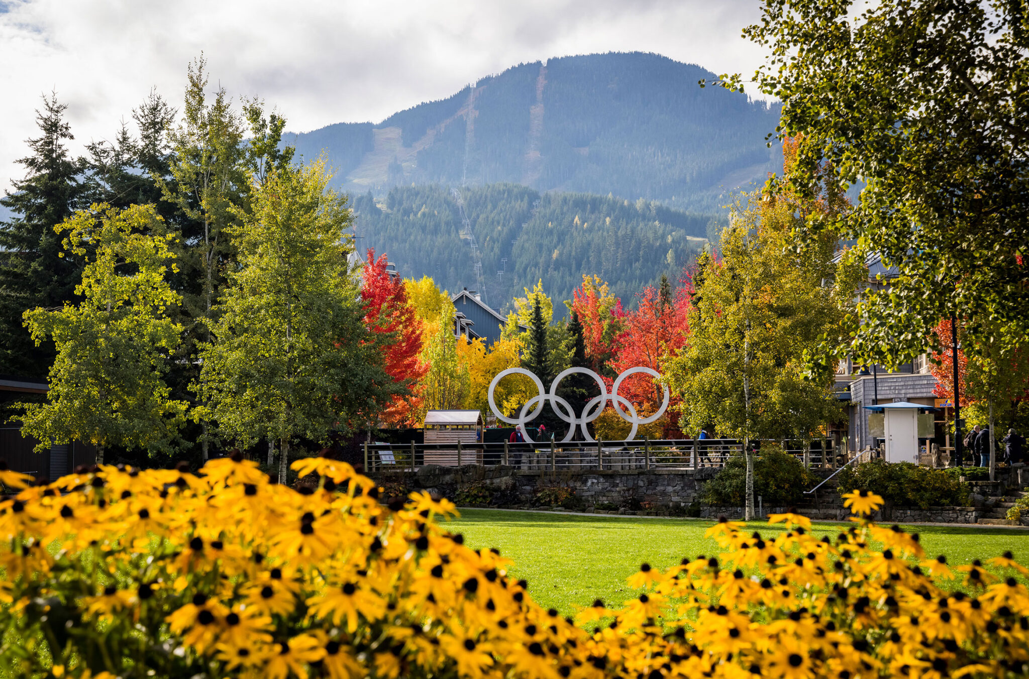 The vibrant reds and yellows of fall at Whistler Olympic Park.