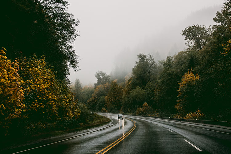 A car drives up Highway 99 with fall colours on either side.