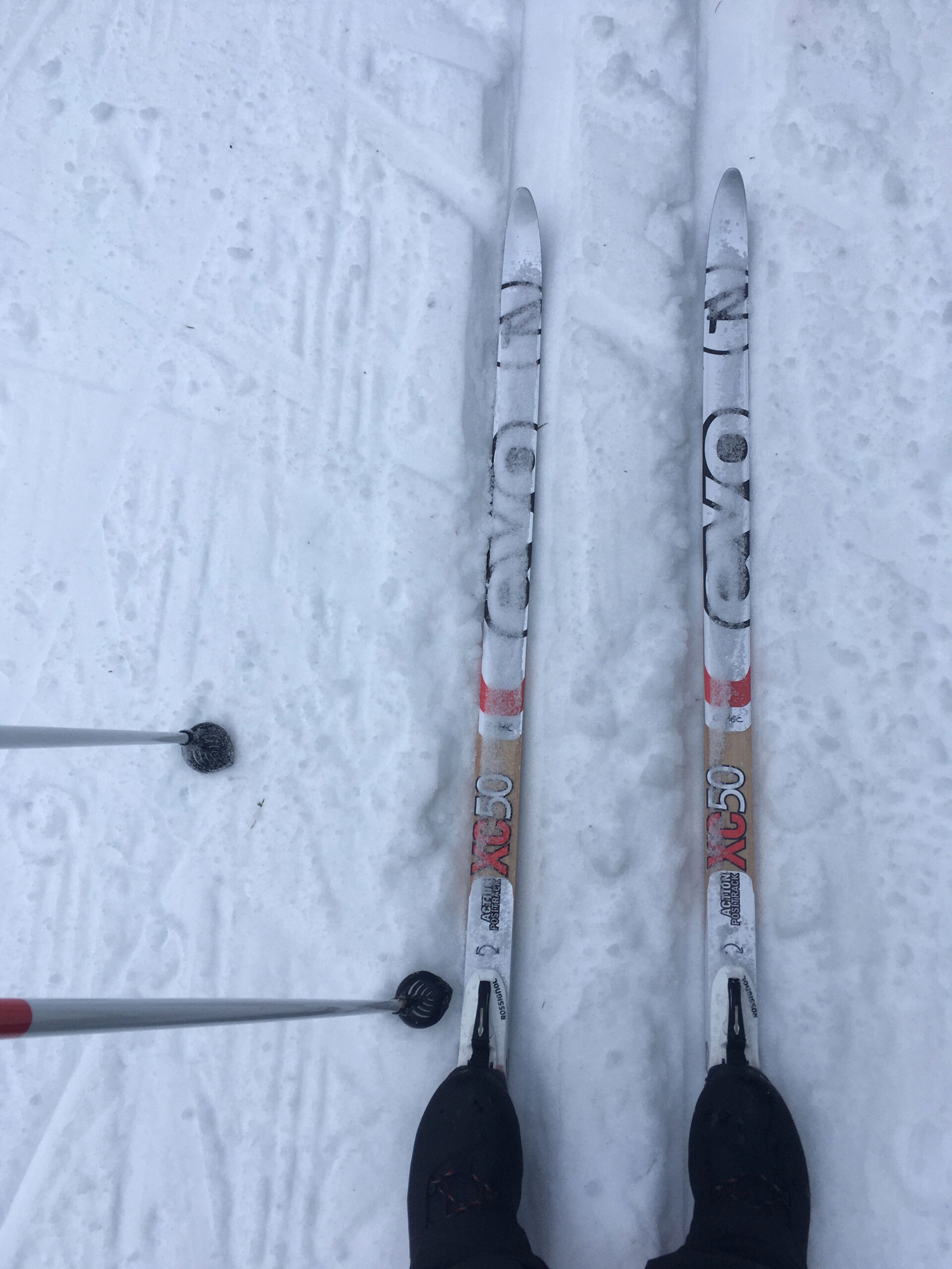Kate's cross country skis.
