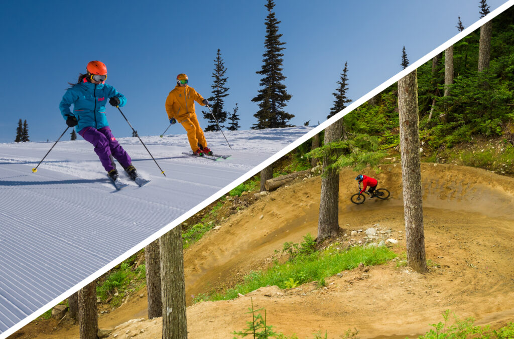 An image showing skiers on one half and a mountain biker on the other.