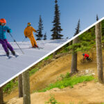 An image showing skiers on one half and a mountain biker on the other.