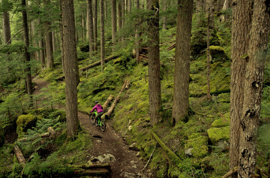 A cross-country biker explores Whistler's forests.