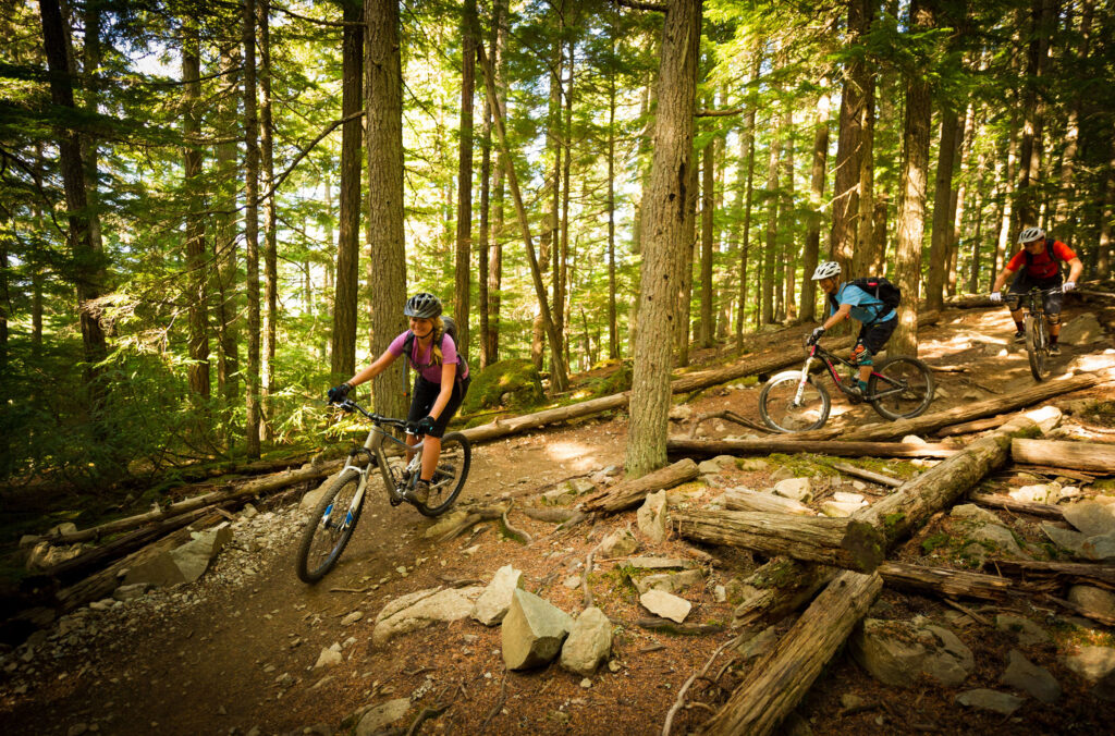 Three cross-country bikers explore the trails in Lost Lake Park, Whistler.