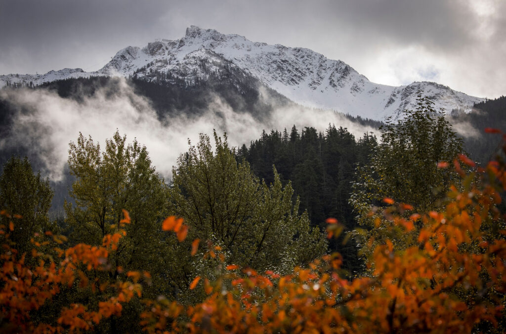 The mountains are dusted with white snow on the top, with evergreens in the forest and red, fall leaves in the foreground.