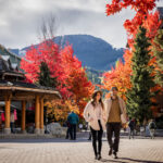 A couple walk through the Whistler Village Stroll with the fall colours around them.