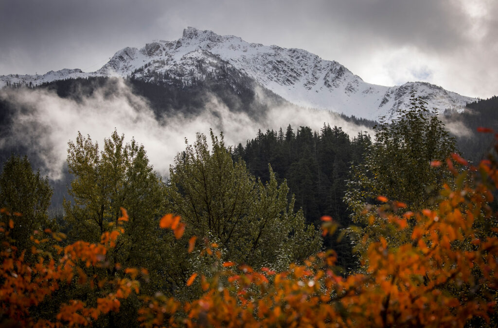 https://cdn.whistler.com/blog/wp-content/uploads/2022/09/06094651/White-Green-and-Red-Whistler-Fall-1024x676.jpg