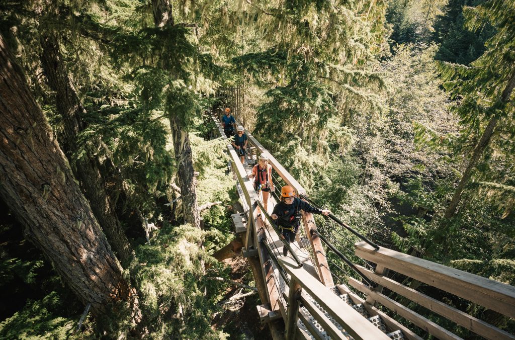 People follow a guide on a Ziptrek Tree Trek Tour taking place in the lush, green tree canopy of Whistler's forests.