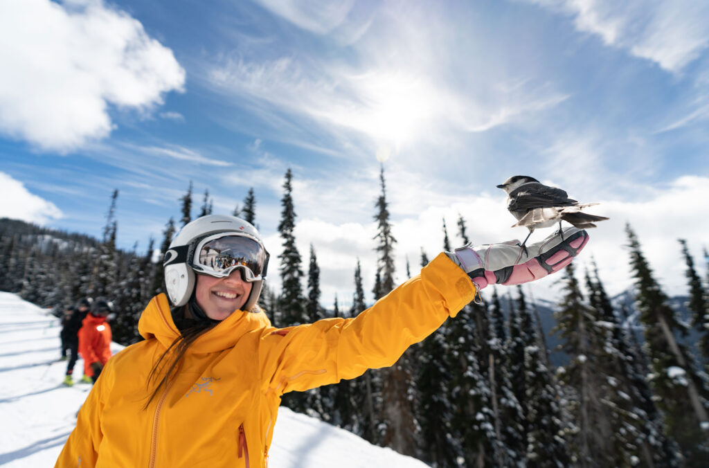 A skier holds out her hand and a Whisky Jack lands on it.