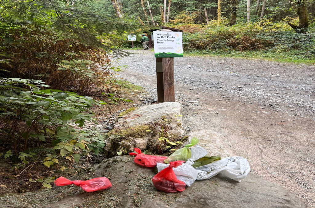 A pile of poop-filled dog bags litter the ground at the start of a hiking trail.
