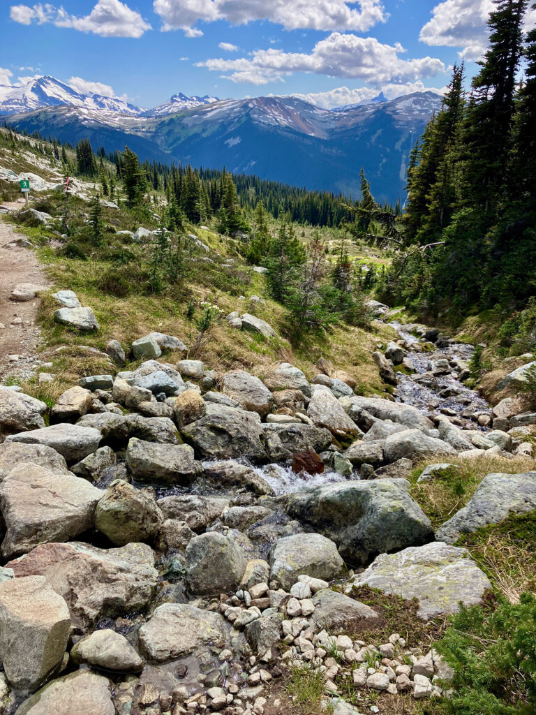 A creek crossing on Blackcomb Mountain weaves its way down grey rocks and alpine meadows.