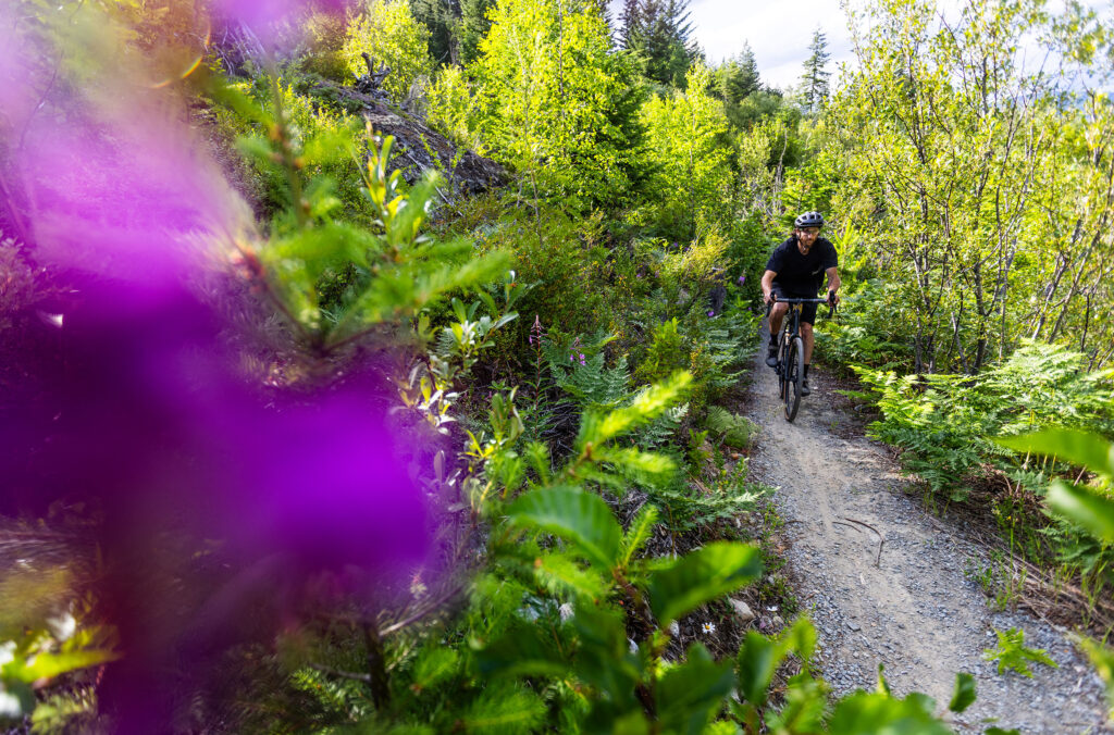 A cyclist rides a gravel bike along the Sea to Sky Trail in Whistler.
