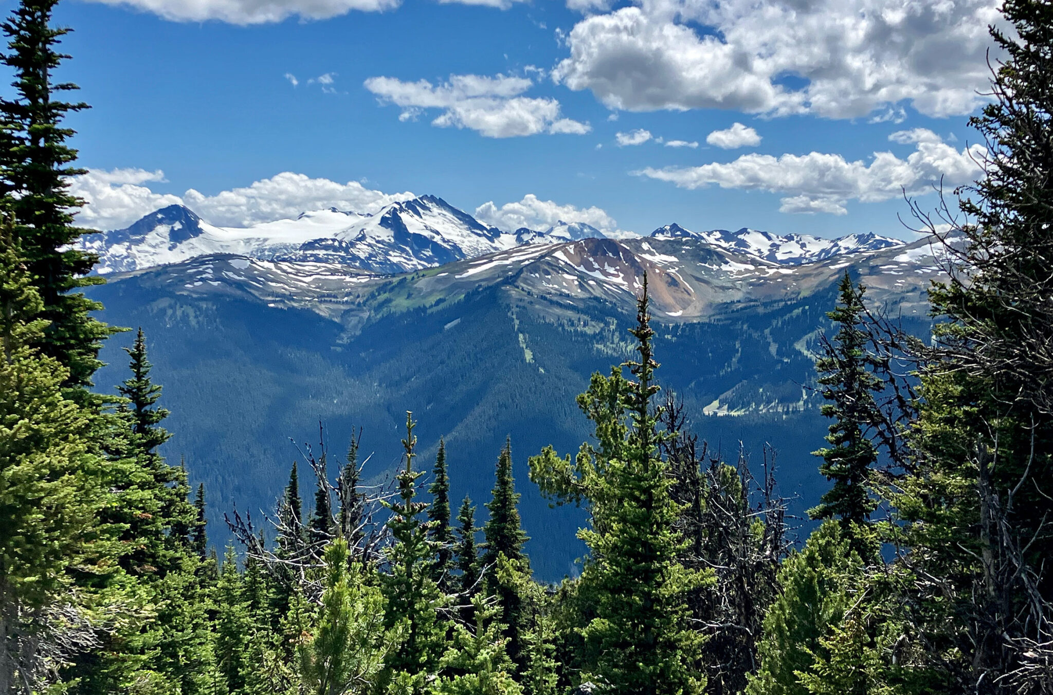 The mountain view from the Overlord Trail is absolutely stunning with snow-capped peaks and lush pines.