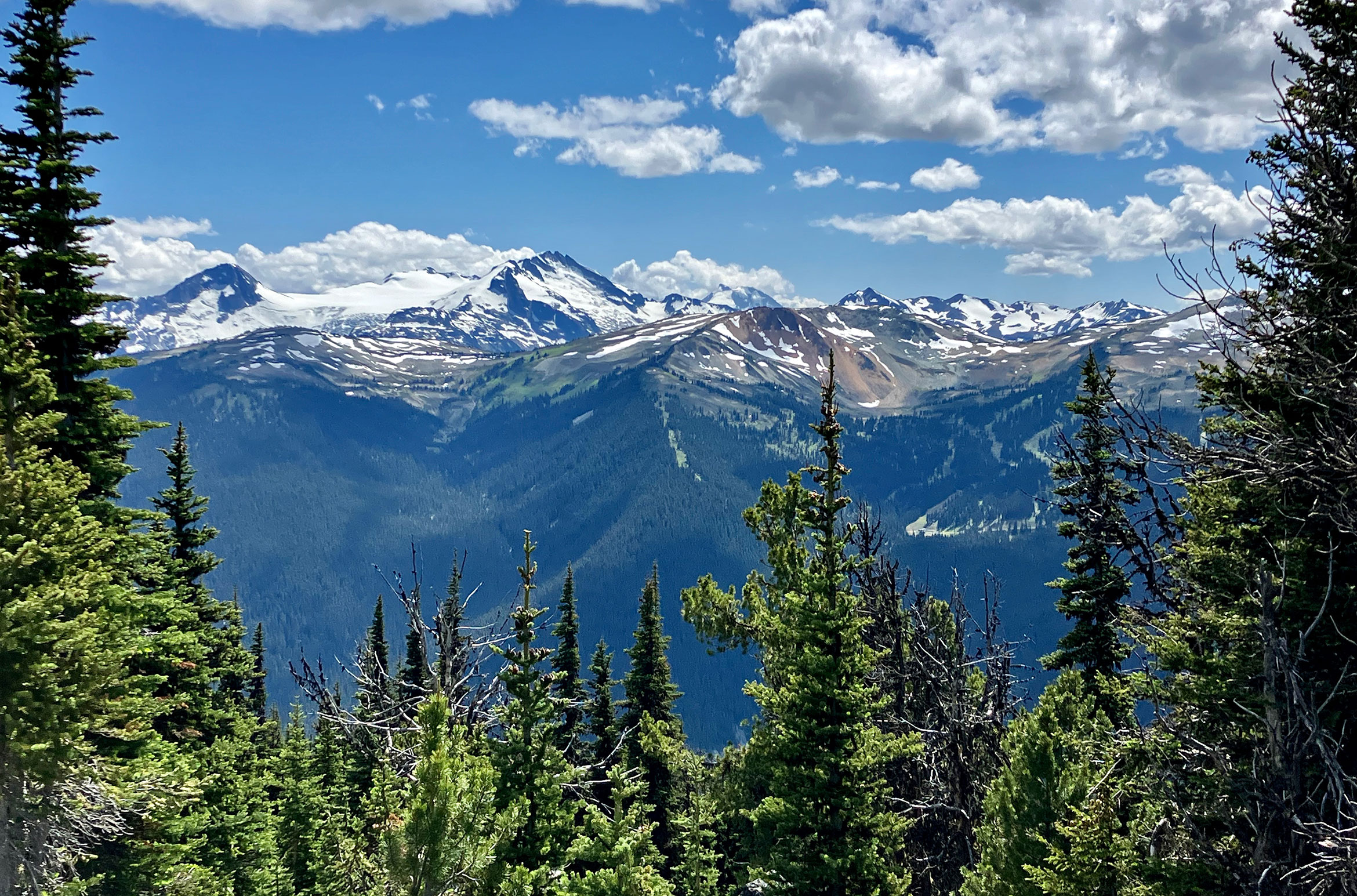 Alpine Hiking Trails on Whistler and Blackcomb Mountains