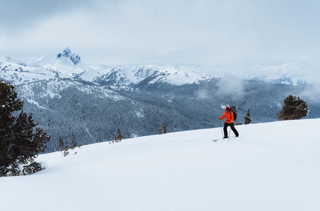 Backcountry ski guide