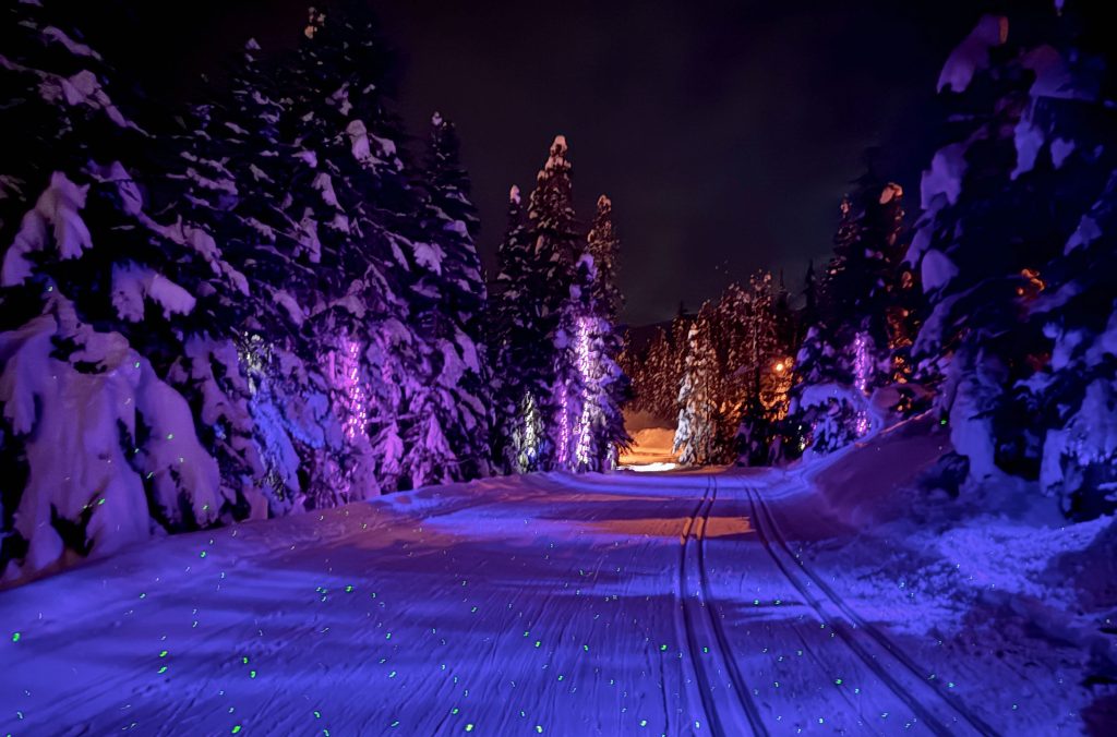 The Neverland Starlight Loop at Whistler Olympic Park lit up in the evening.