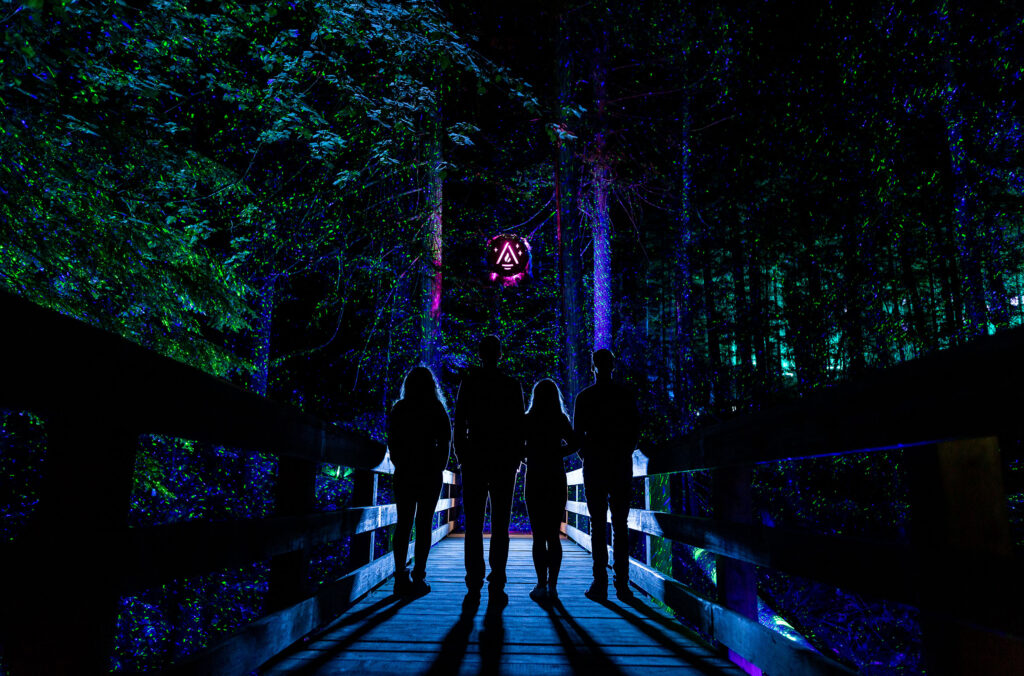 A group of people look up at the incredible light displays at Vallea Lumina in Whistler.