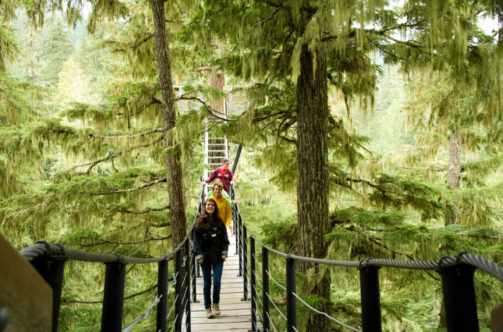 A group of friends explore the rainforest canopy on the TreeTrek tour with Ziptrek in Whistler.