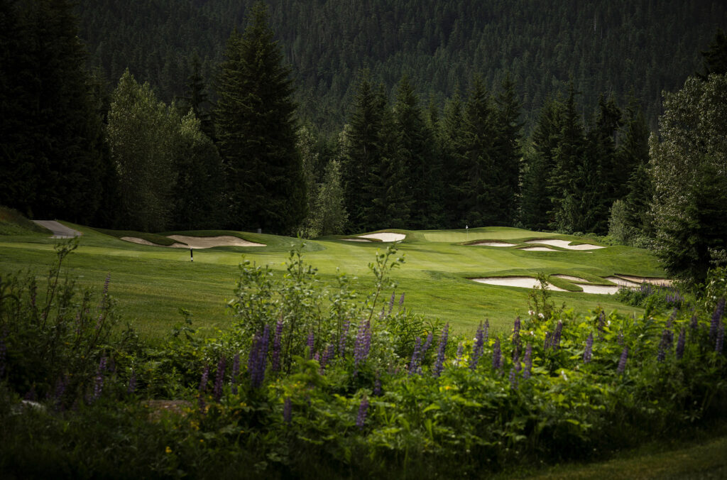 A photo of the lush greens at Fairmont Chateau Whistler Golf Club.