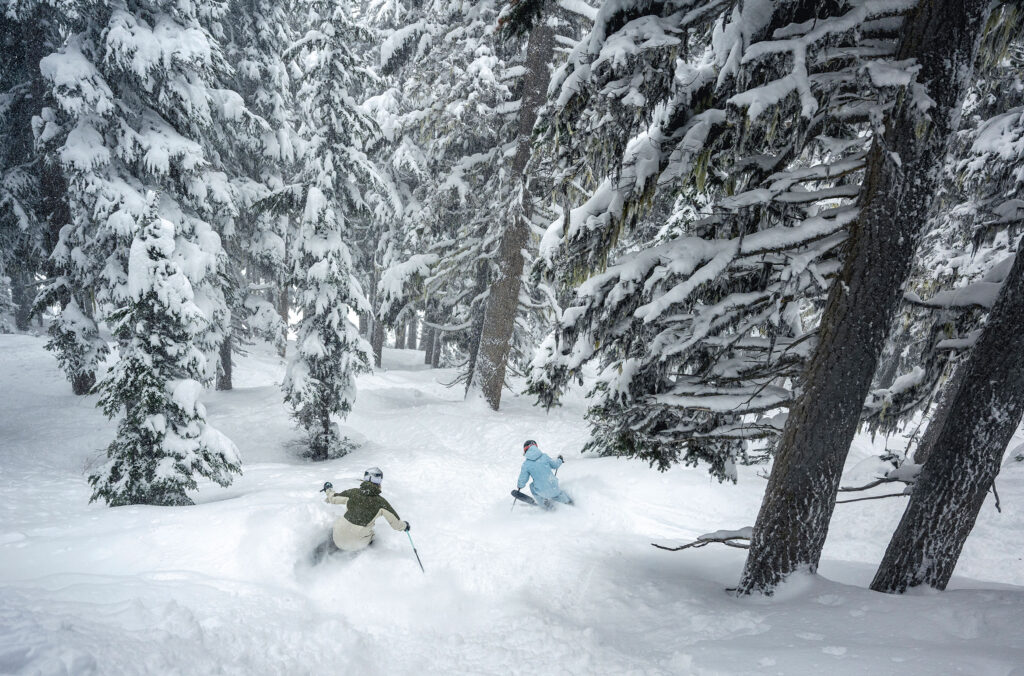 Two skiers power through the powder in the trees on Whistler Blackcomb.