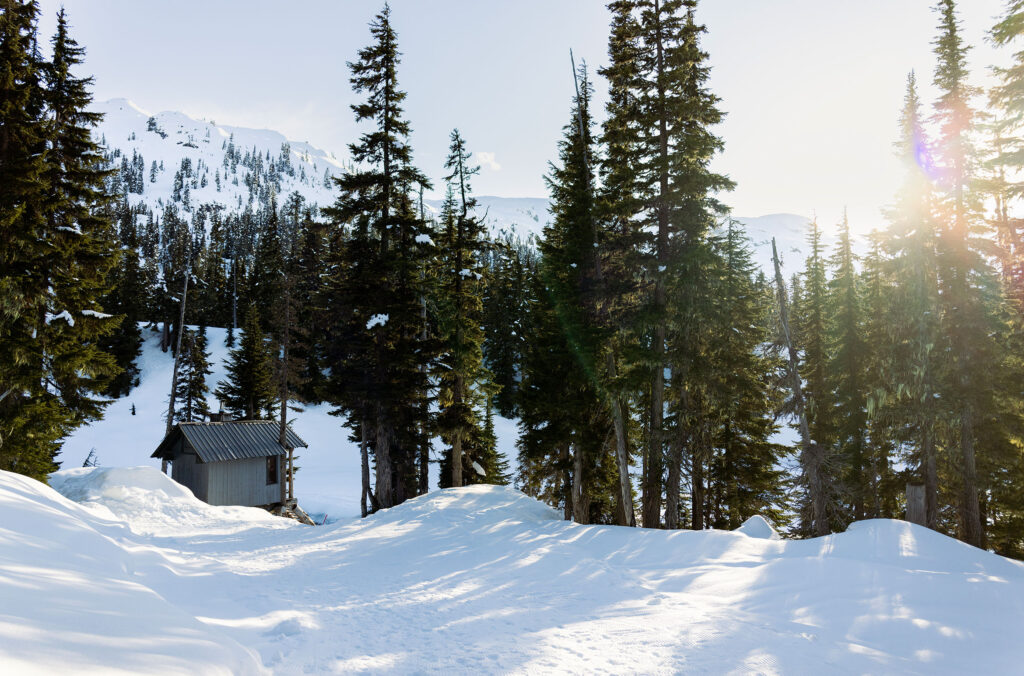 A small sauna hut in the snowy, Whistler backcountry surrounded by towering evergreens.