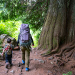 Sara and her son hike in Whistler in the summer amongst huge ancient cedars.