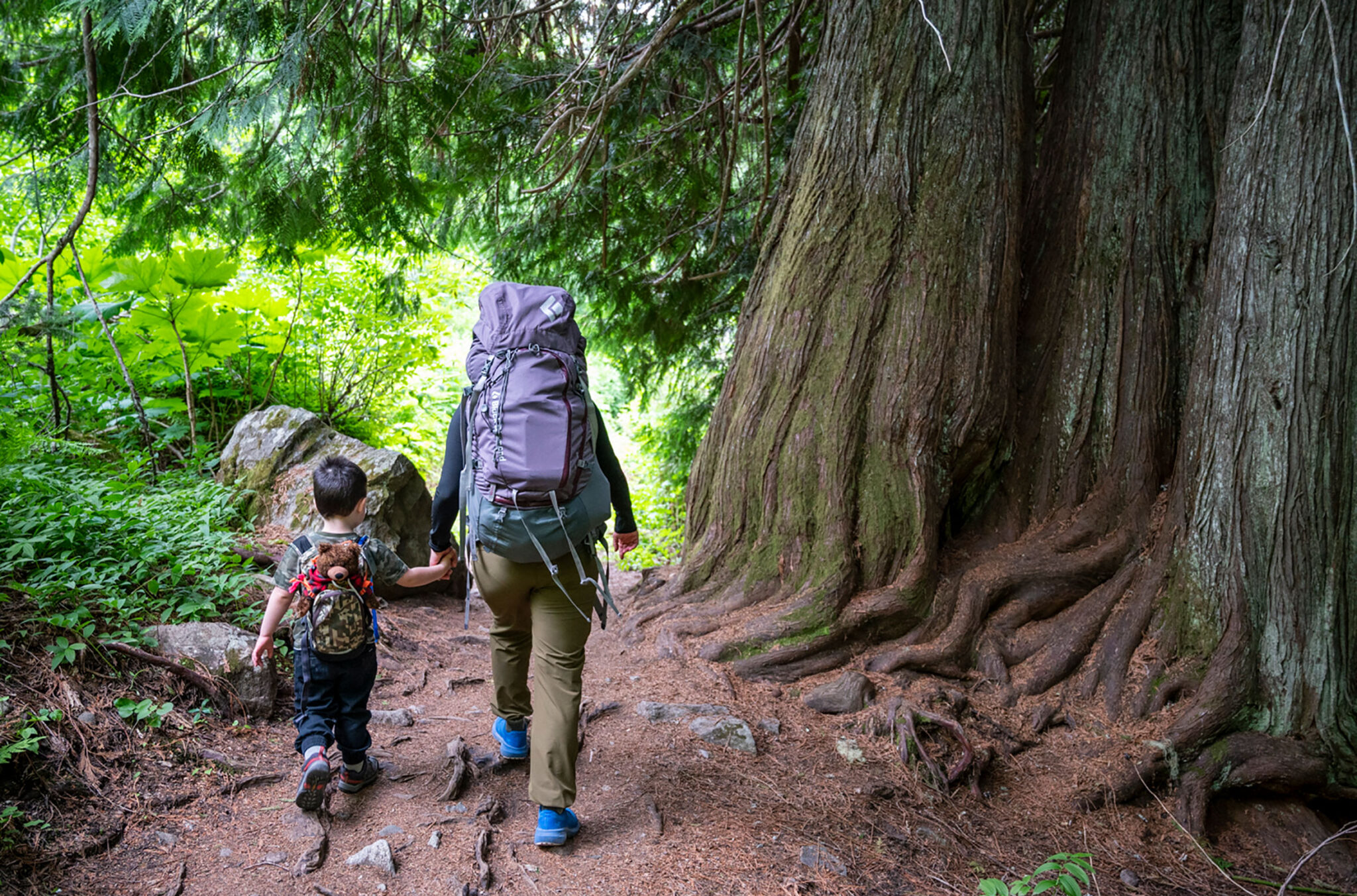 Sara and her son hike in Whistler in the summer amongst huge ancient cedars.