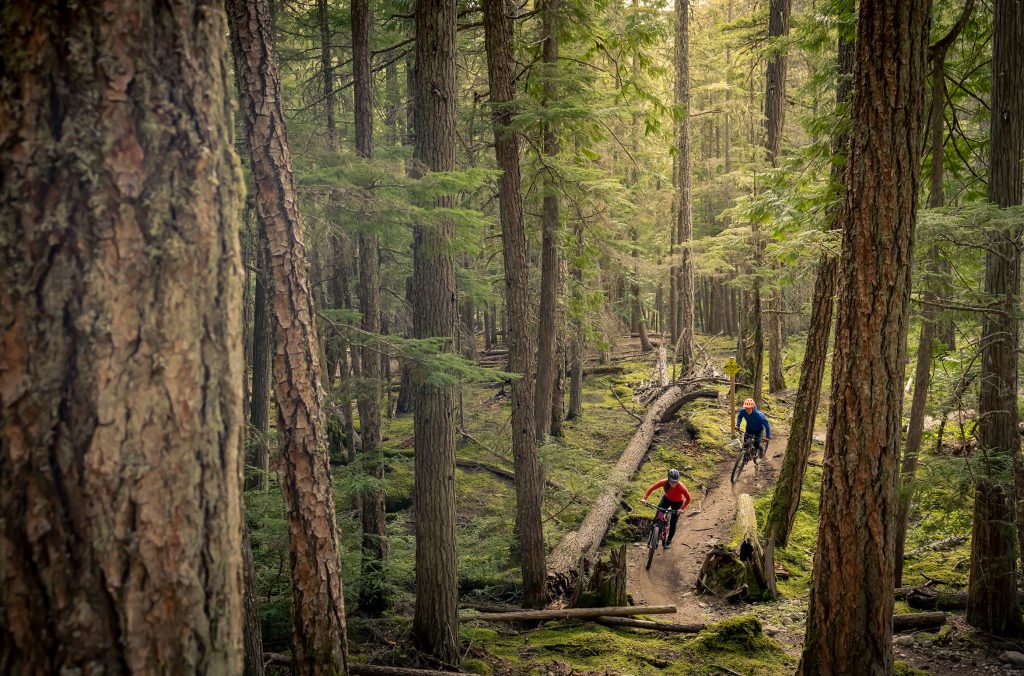 Riders weave through the forested cross-country trails in Whistler.