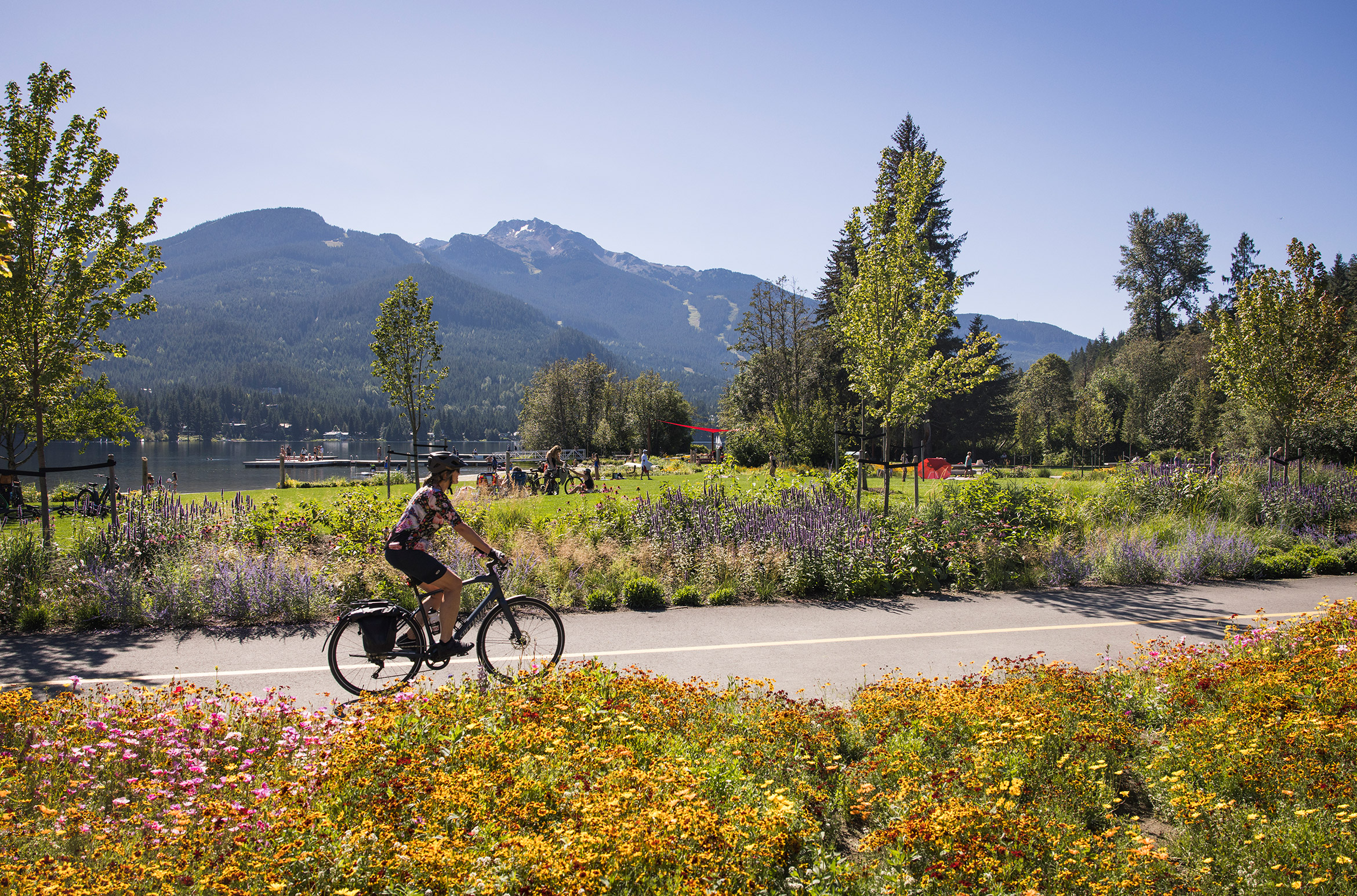 A bike rider pedals along the Whistler Valley Trail past Rainbow Park in the summer with flowers all around them.
