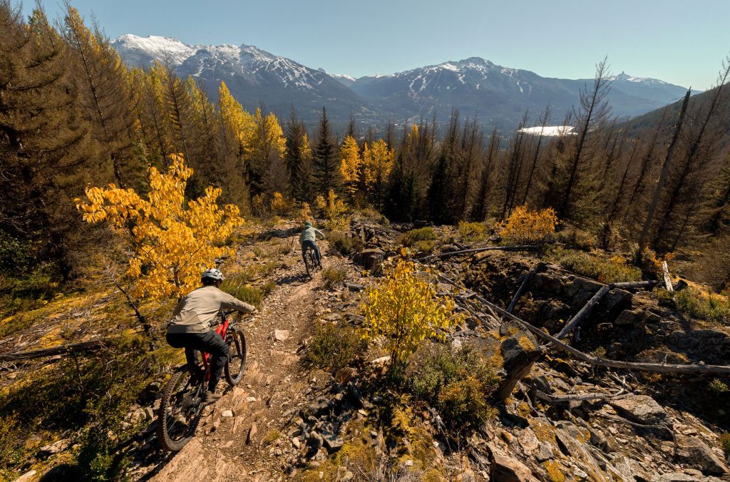 Two bikers head down a mountain trail in fall colours.