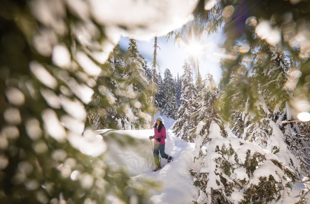 A snowshoer explores the forested trails in Whistler on a sunny winter day.