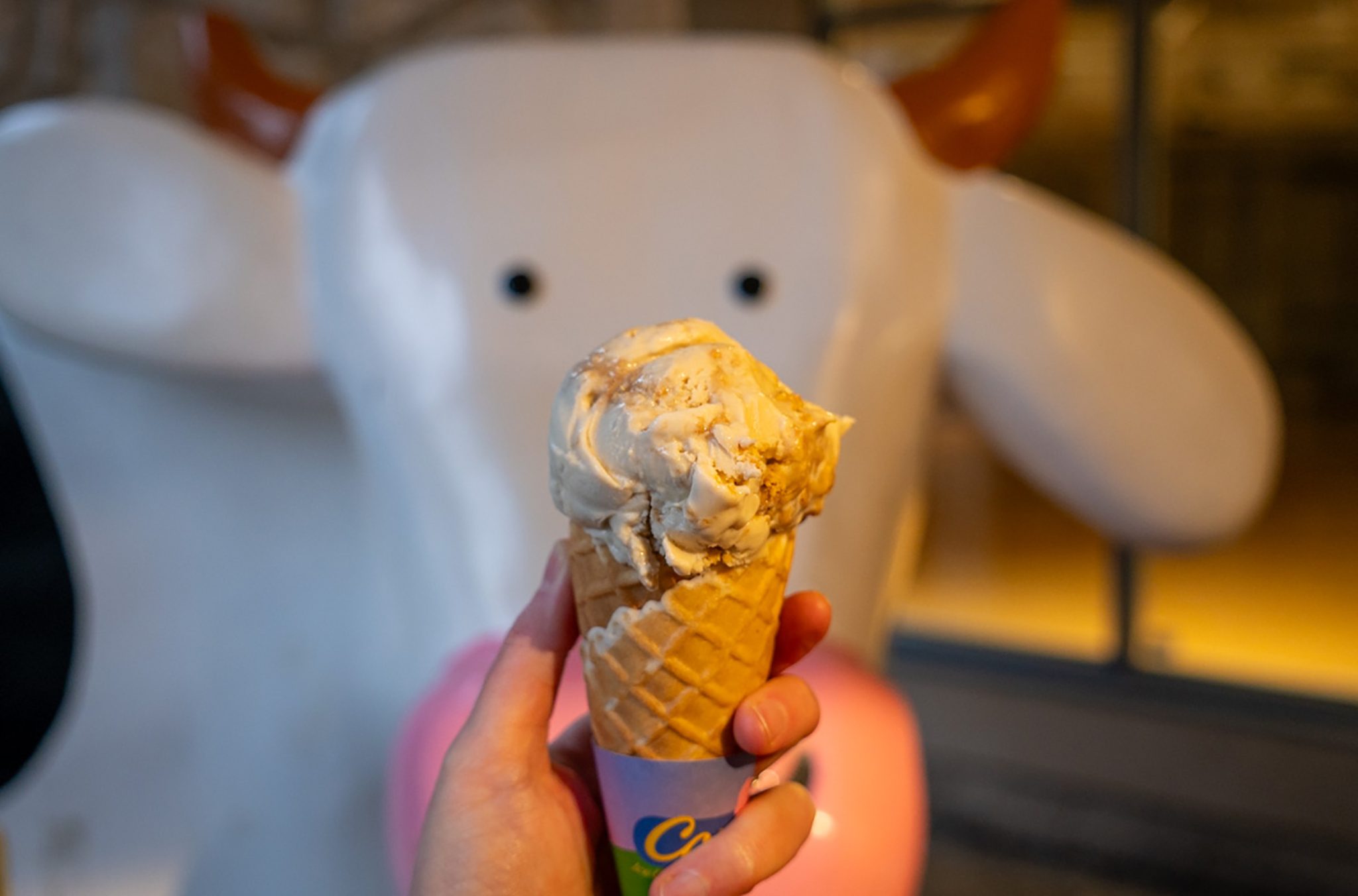 A COWS ice cream in a cone in their Whistler store.