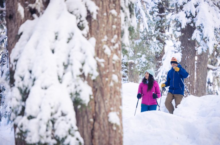 Two snowshoers explore Whistler's forests in deep winter.