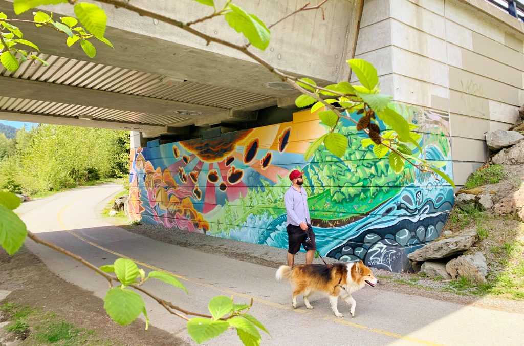 A person and their dog walk past a colourful mural in an off the path location close to Whistler Village.