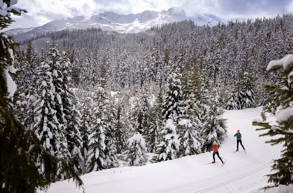 Two skiers weave their way through trails banked by thick forest at Whistler Olympic Park.
