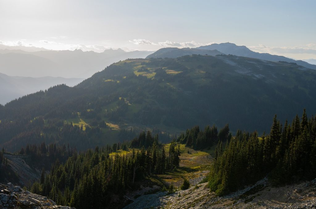 Golden glow and long shadows on grassy green meadows enroute to Kees and Claire Hut.