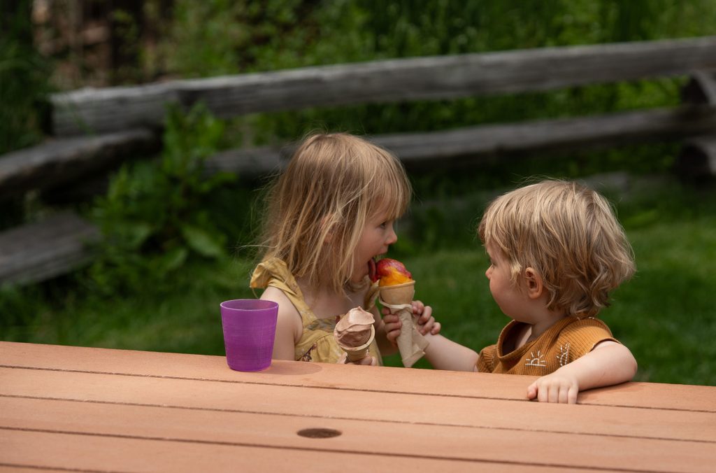 Two toddlers share an ice cream in one of Whistler's parks.