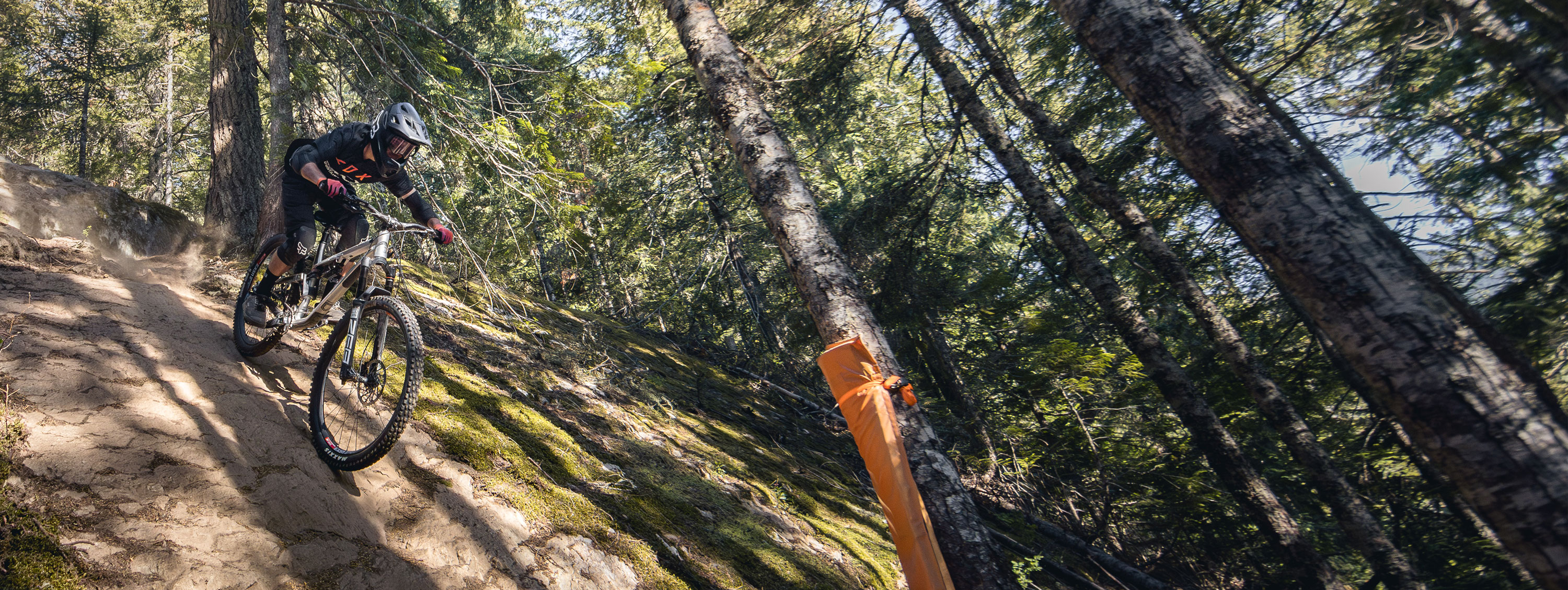Downhill mountain biker in the Whistler Mountain Bike Park on a sunny day in Whistler, British Columbia, Canada