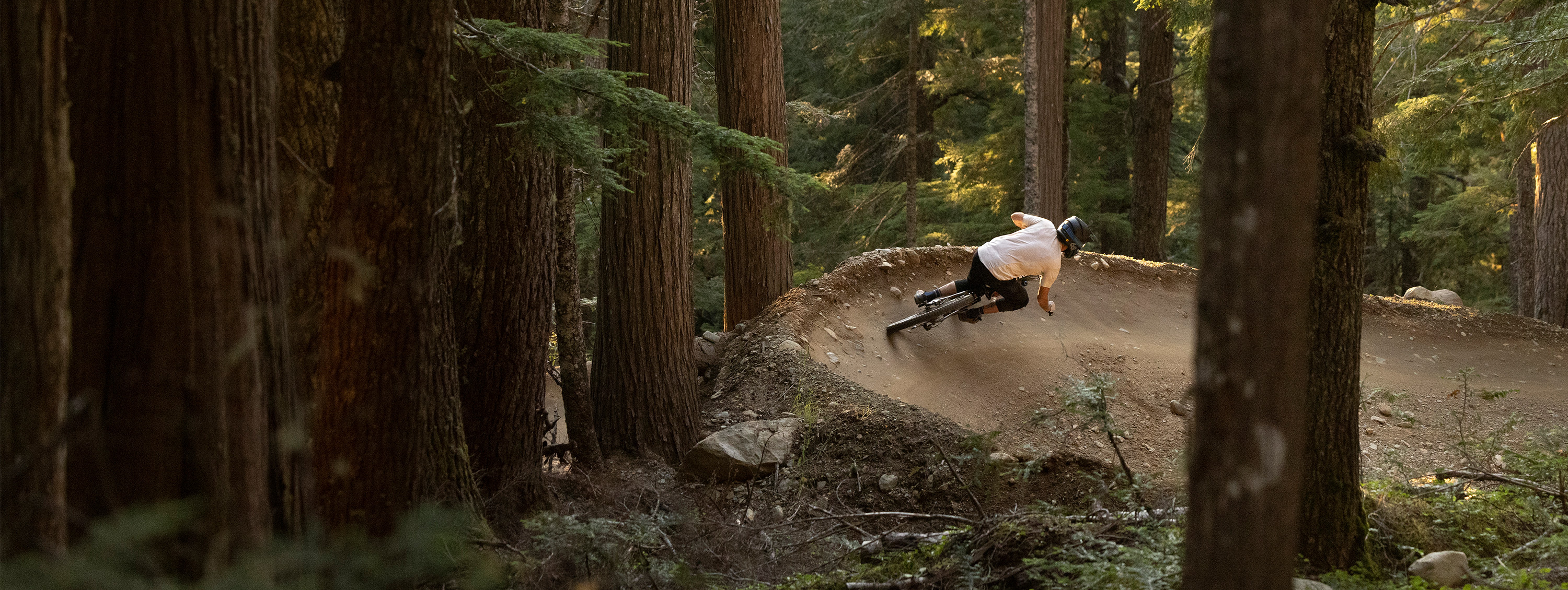A mountain biker rides around a berm in the Whistler Bike Park. Tall trees surround the trail, with sunlight filtering softly through the branches.