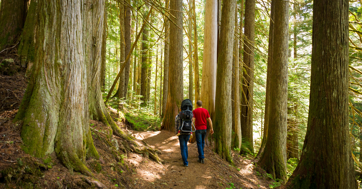 rainforest hiking gear
