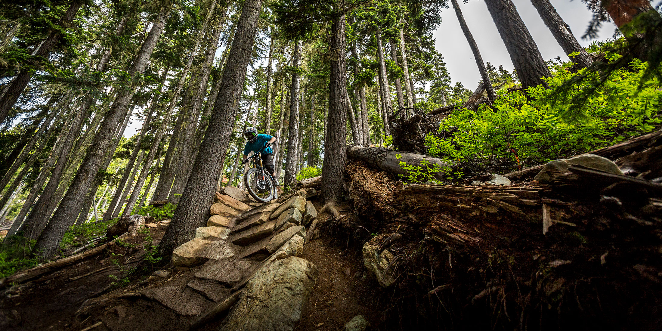 Whistler Mountain Bike Park Tourism Whistler