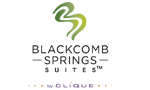 Blackcomb Springs Suites