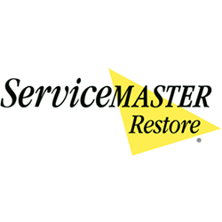 Service Master Restore